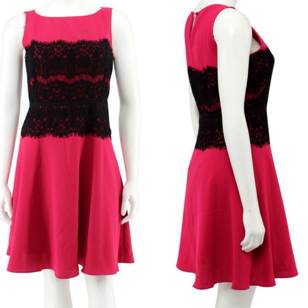 LOFT Size 4 Pink Dress With Black Lace Detail